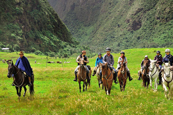 Bunch of people riding horses