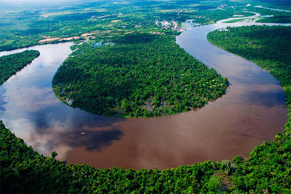 Amazon River Winding