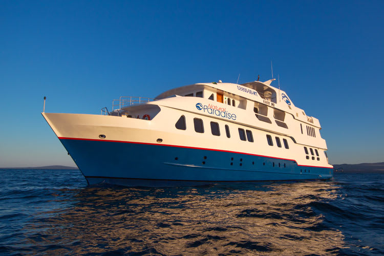 Natural Paradise Galapagos Cruise  Itineraries, Dates, Prices 2024/25 - Rainforest  Cruises