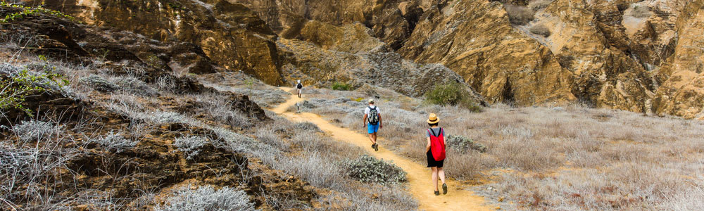 galapagos islands vacation cruises