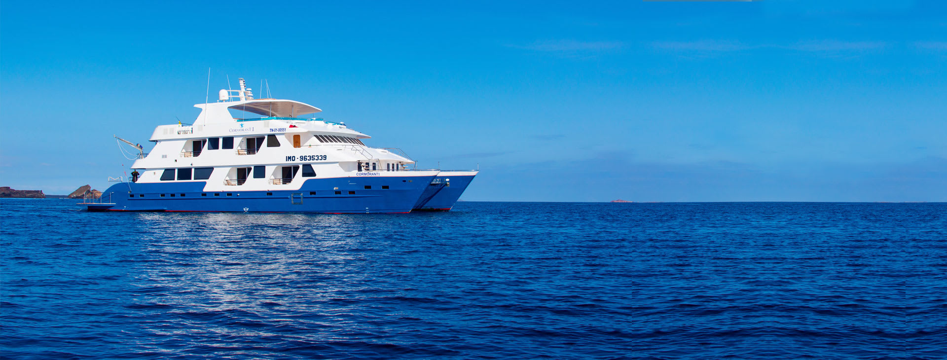 Cormorant Cruise ship at sea
