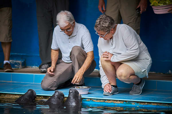 Amazon Manatee Rescue Center