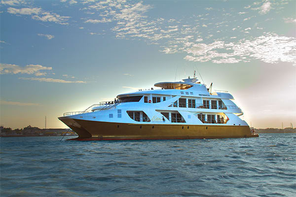 Elite luxury galapagos cruise