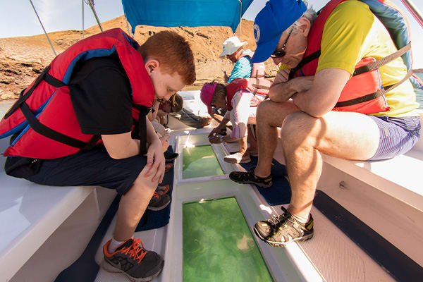 Family looking through the glass-bottomed boat