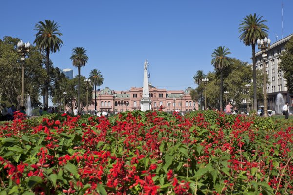 Buenos Aires Flowers