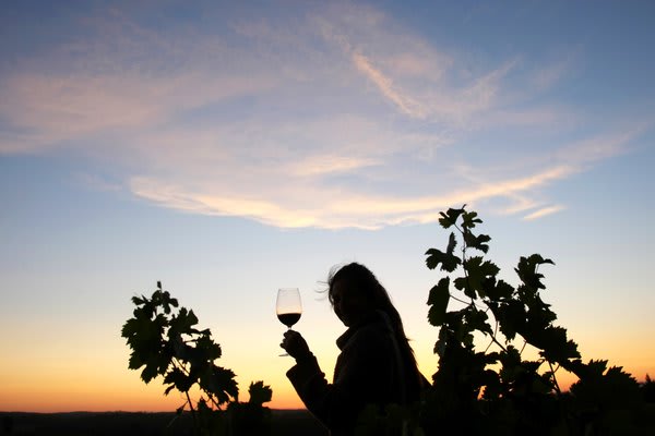 Evening Glass of Wine Mendoza