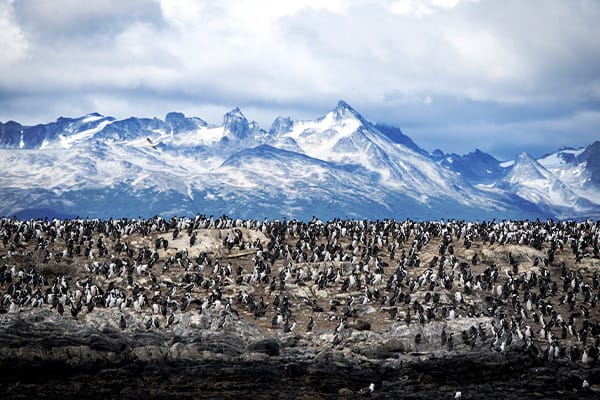 National Park Ushuaia