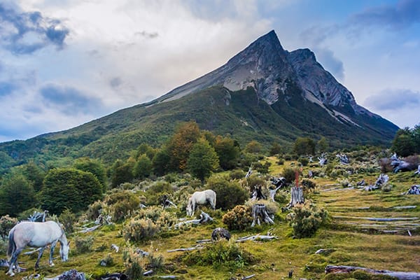 在路上去卡拉马和山