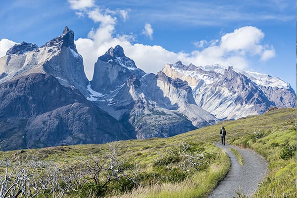 Returning to Calafate