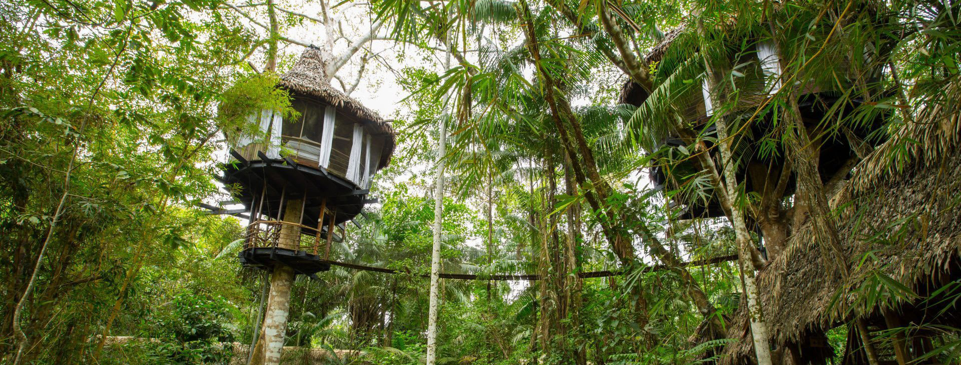 Treehouse Lodge Peru Amazon Itineraries Prices 2024 25