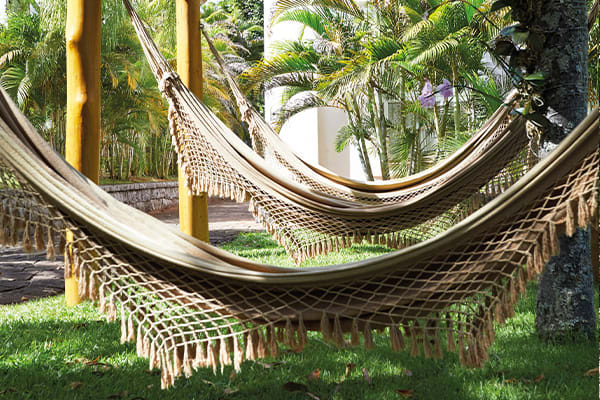 Hammocks hanging