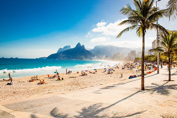 Rio beach with palm trees