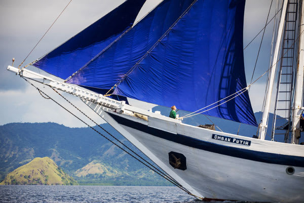 bali tour komodo