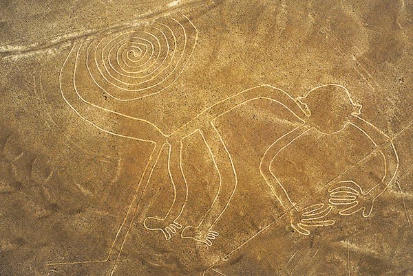 Monkey Geoglyph peru nazca