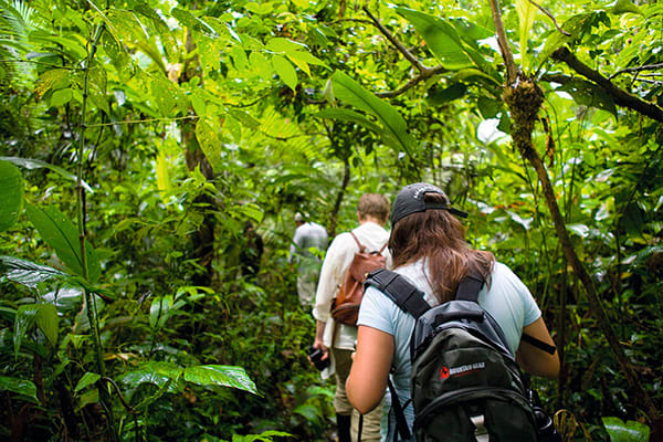 Jungle Trekking Peru Amazon