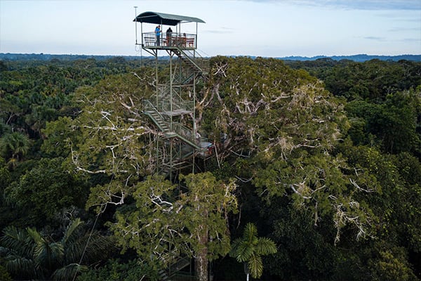 Amazon observation tower