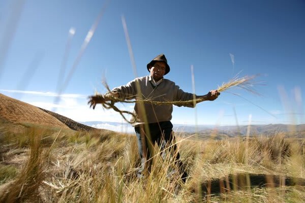 man cutting grass or something