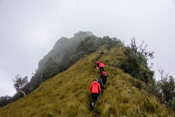 Hiking around Cotopaxi volcano