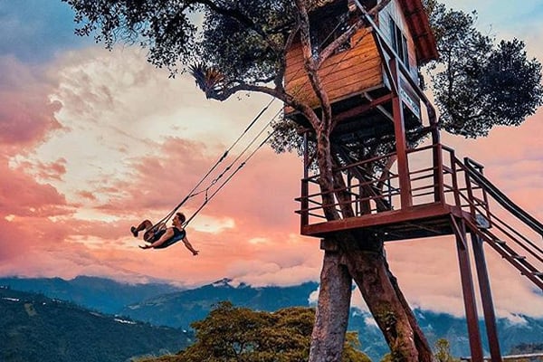 Man swinging from tree swing banos