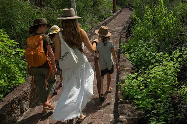 Family walking towards fun excursion