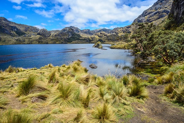 High Andean Lake Ecuador Andes