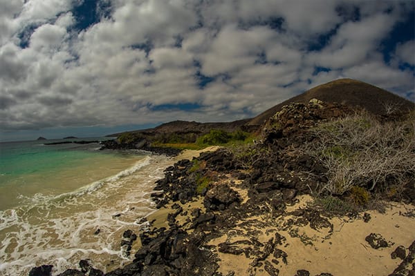 rocky beach in the galapagos