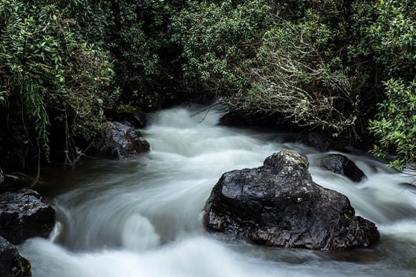 flowing river papallacta outside Quito