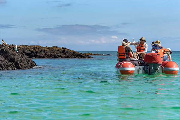 Panga Ride Galapagos wildlife observation