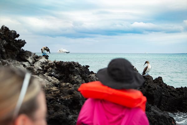 On Excursion Galapagos Boat