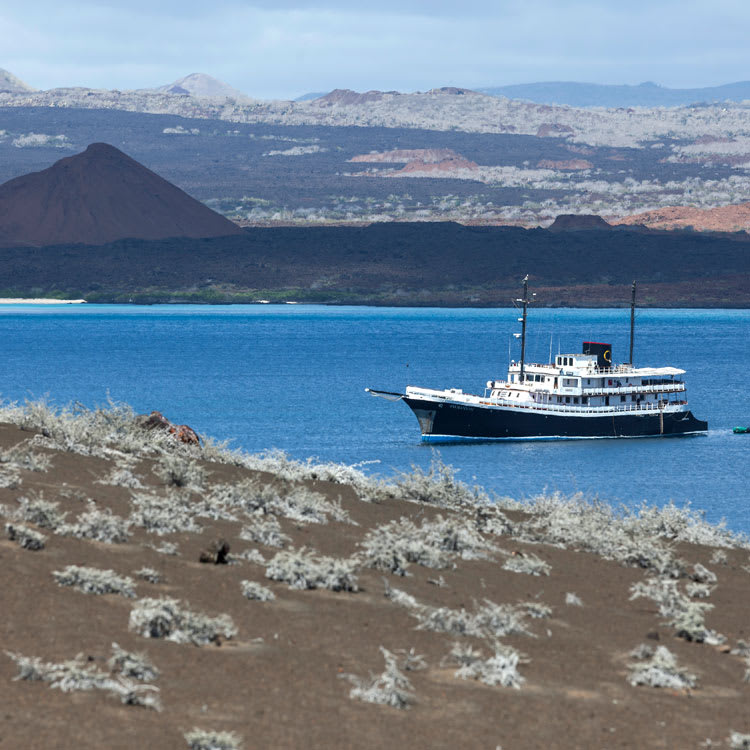 galapagos evolution cruise