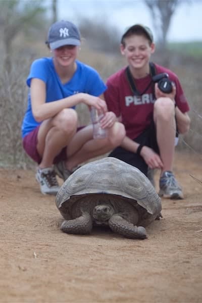 galapagos islands vacation cruises