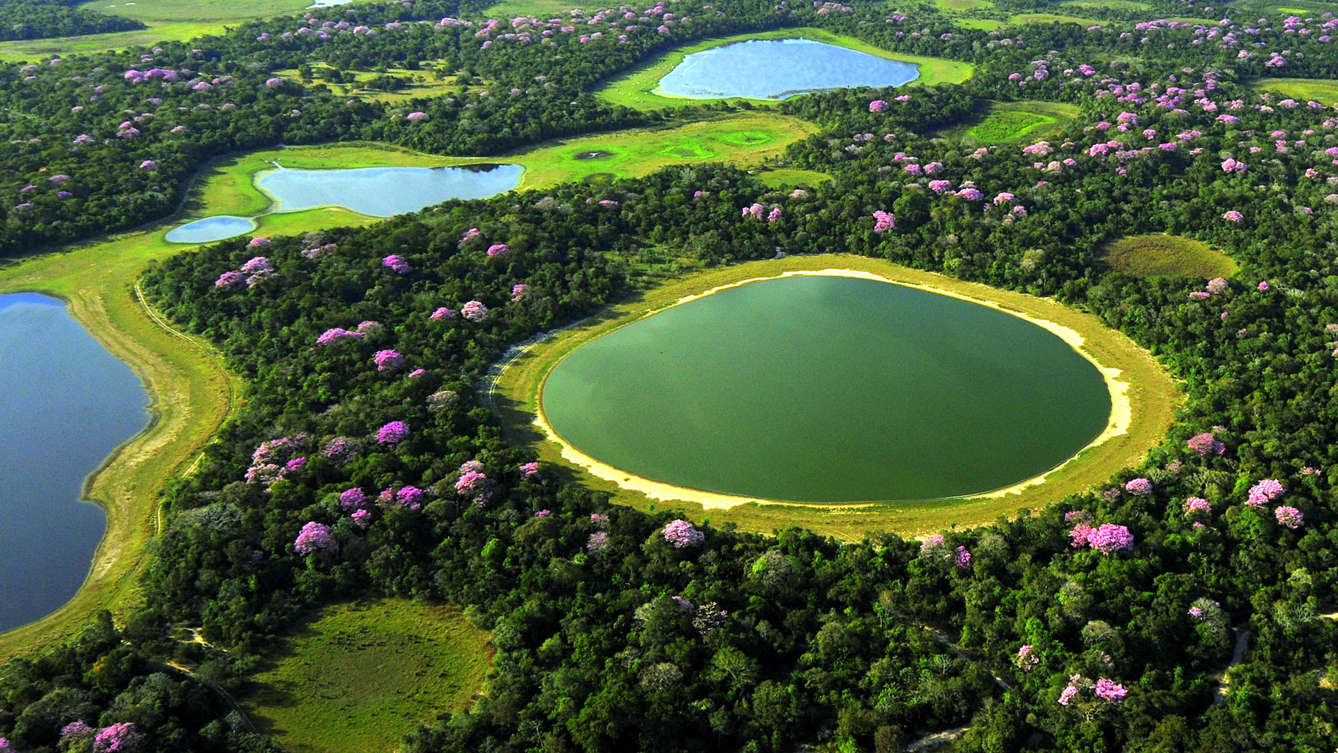 The best time to visit the Pantanal - Bonito Way