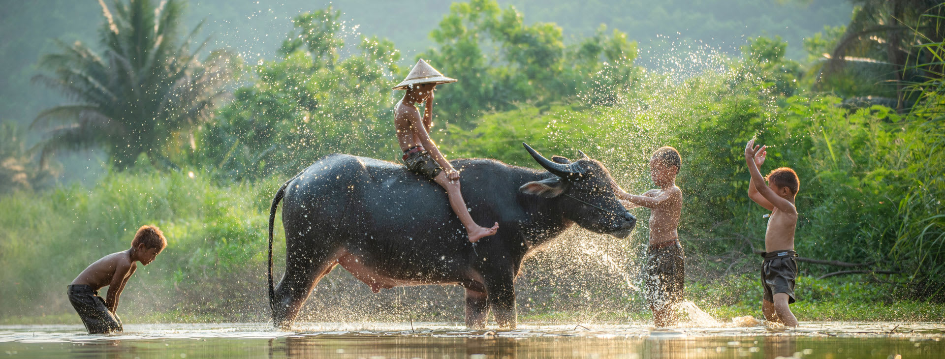 Kids playing with a water buffalo