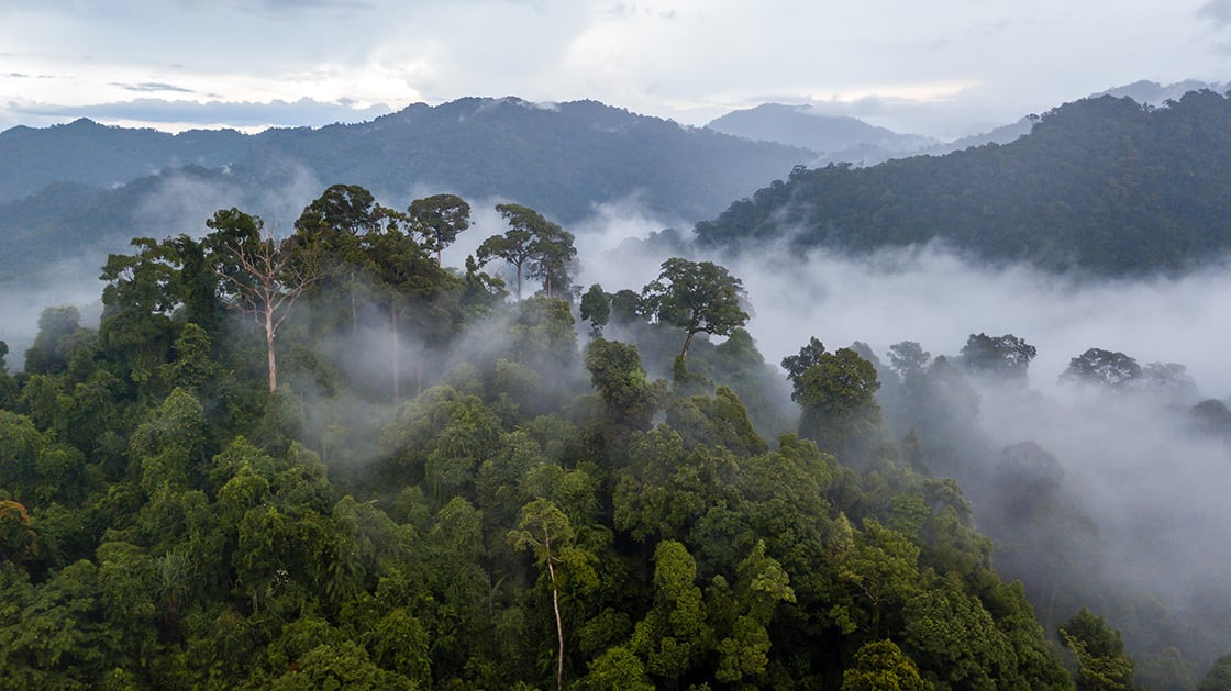 Amazon Rainforest Weather Seasons Best Time To Visit Rainforest Amazon Rainforest Weather Seasons Best Time To Visit Rainforest