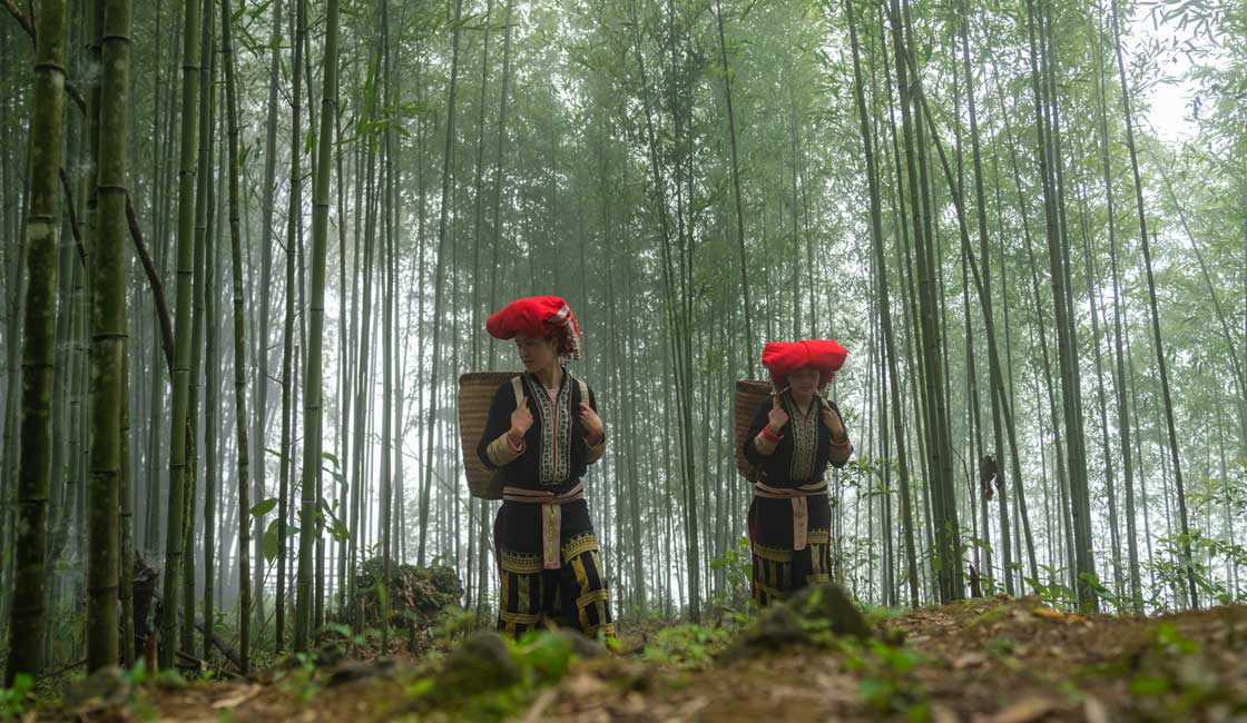 Dos mujeres Dao caminando por el bosque