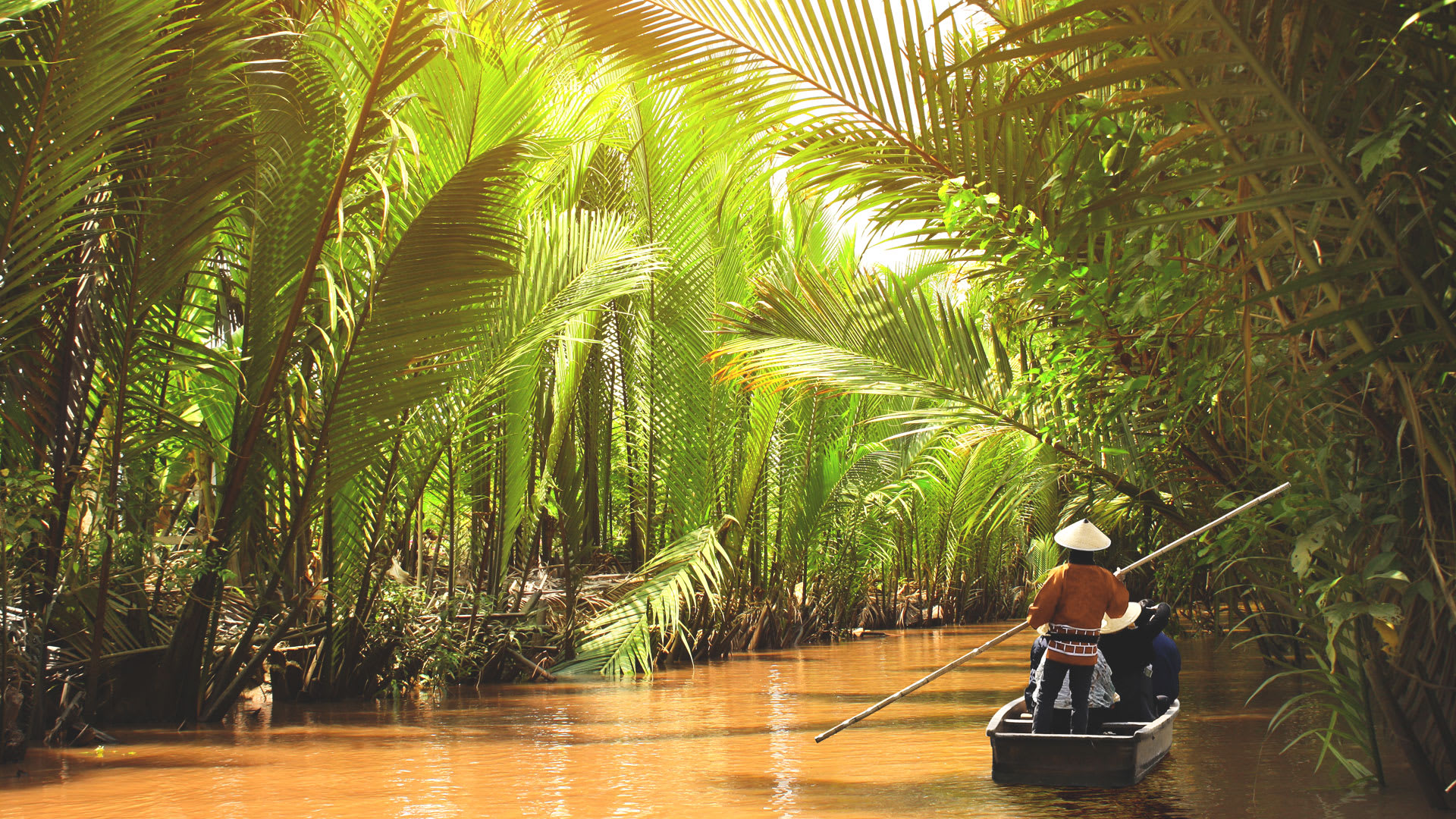 Sampan rowed in the canal of the Mekong Delta