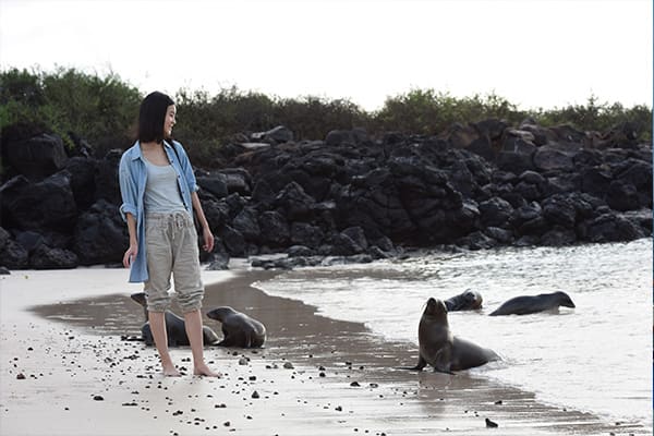 Woman observing sea lions Galapagos