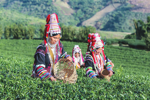 Women of the Akha Tribe