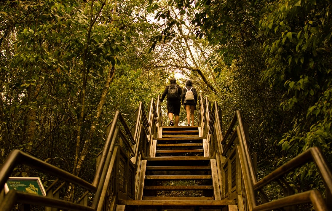 金属走道,阿根廷的一面