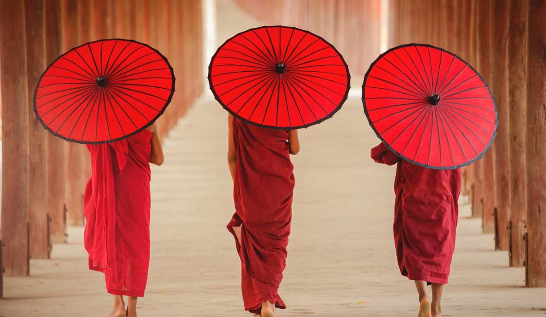 Burmese monks walking with the traditional umbrellas