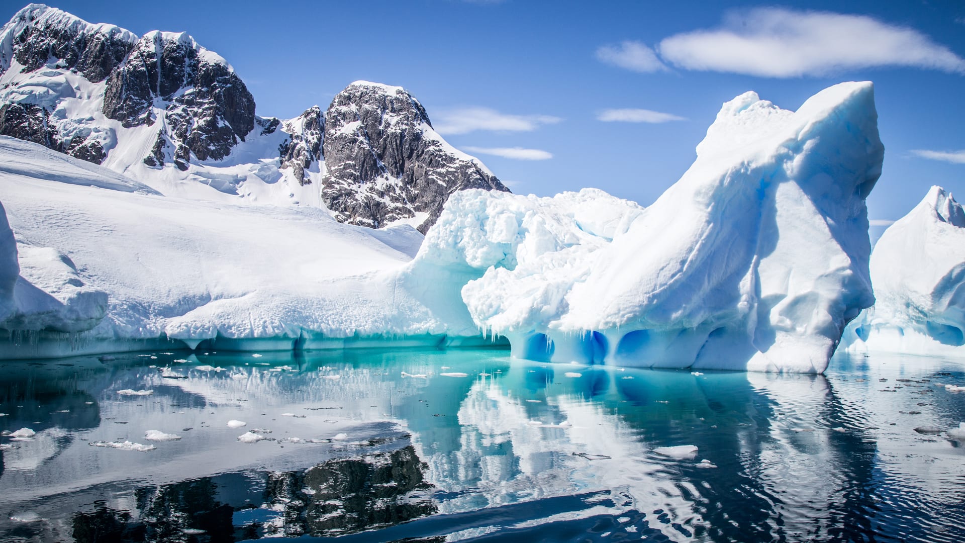 Best Time To Visit Antarctica: Wildlife &amp; Weather By Month