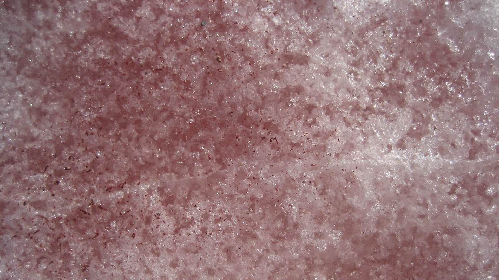 Red In Snow Why Is The Snow Antarctica Turning Green, Red & Pink? Algae!
