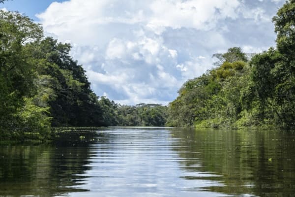 Yanayacu river in Peru