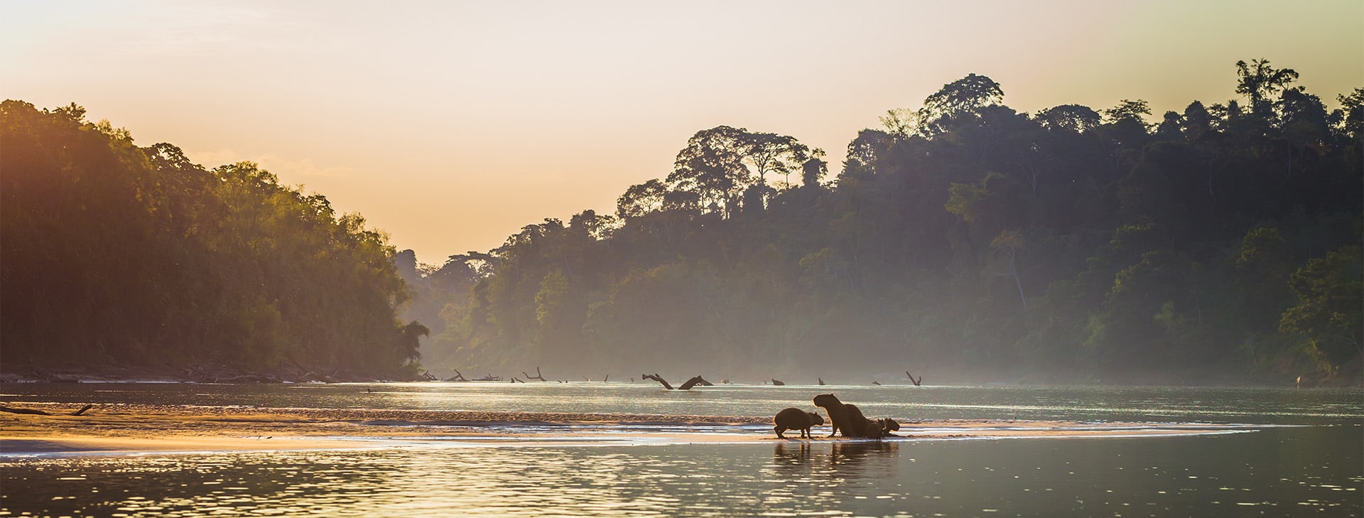 Amazon River - Peru