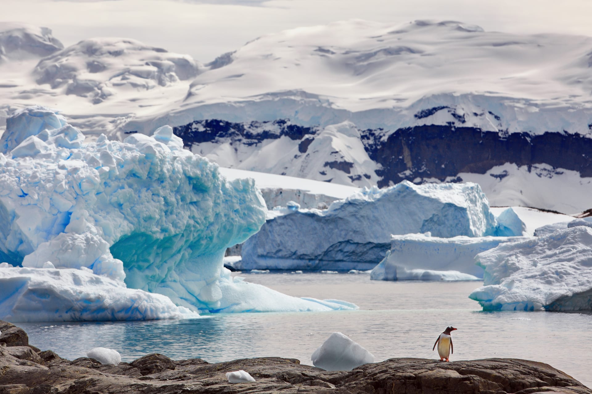The Most Inhospitable Travel Destinations In The World | Antarctica Cruises