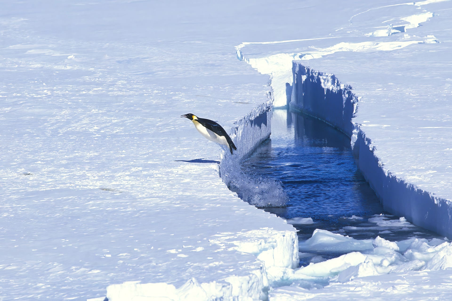 9 Strange Scientific Discoveries In Antarctica Under The Ice