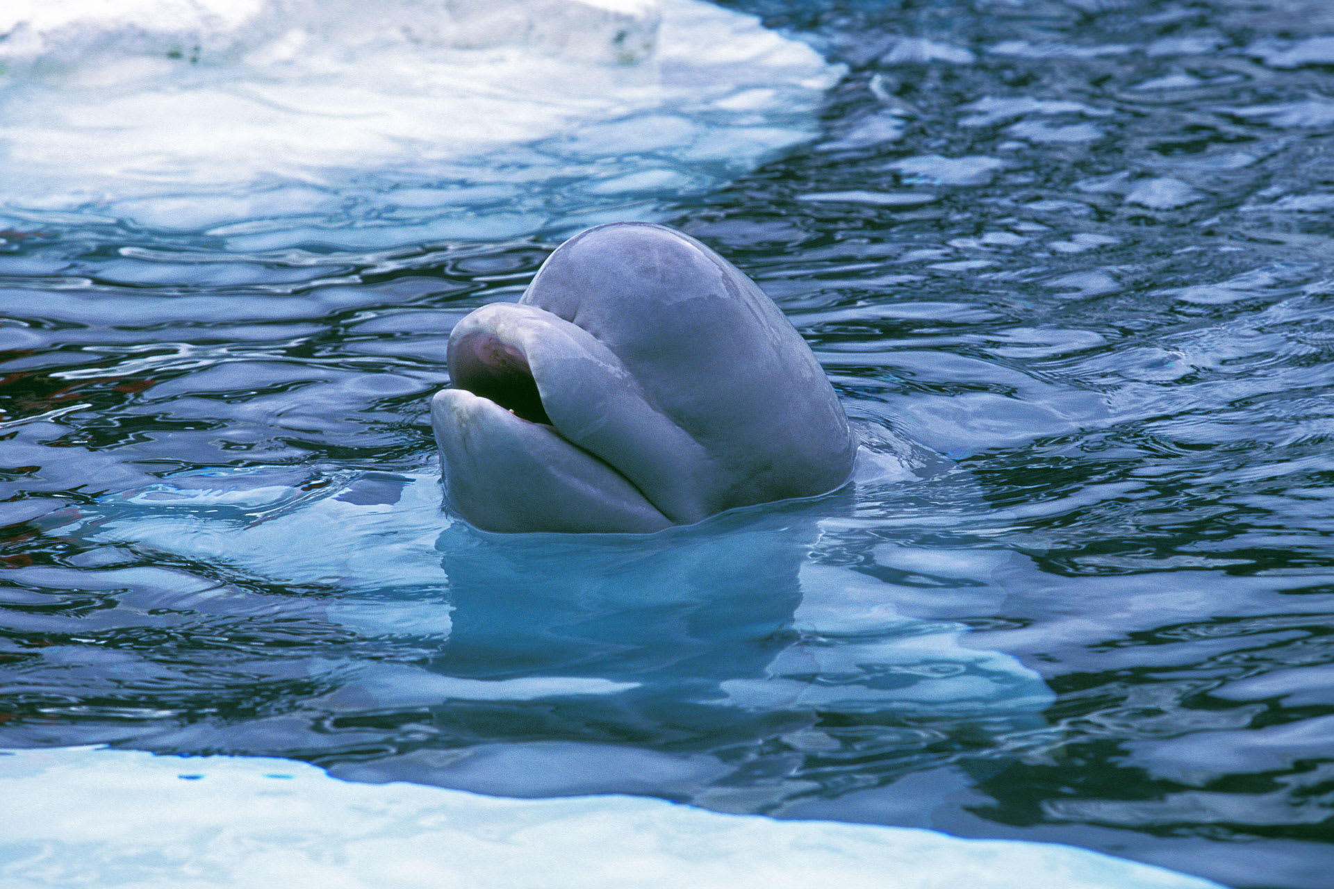 What Is A \, image size:1920x1280