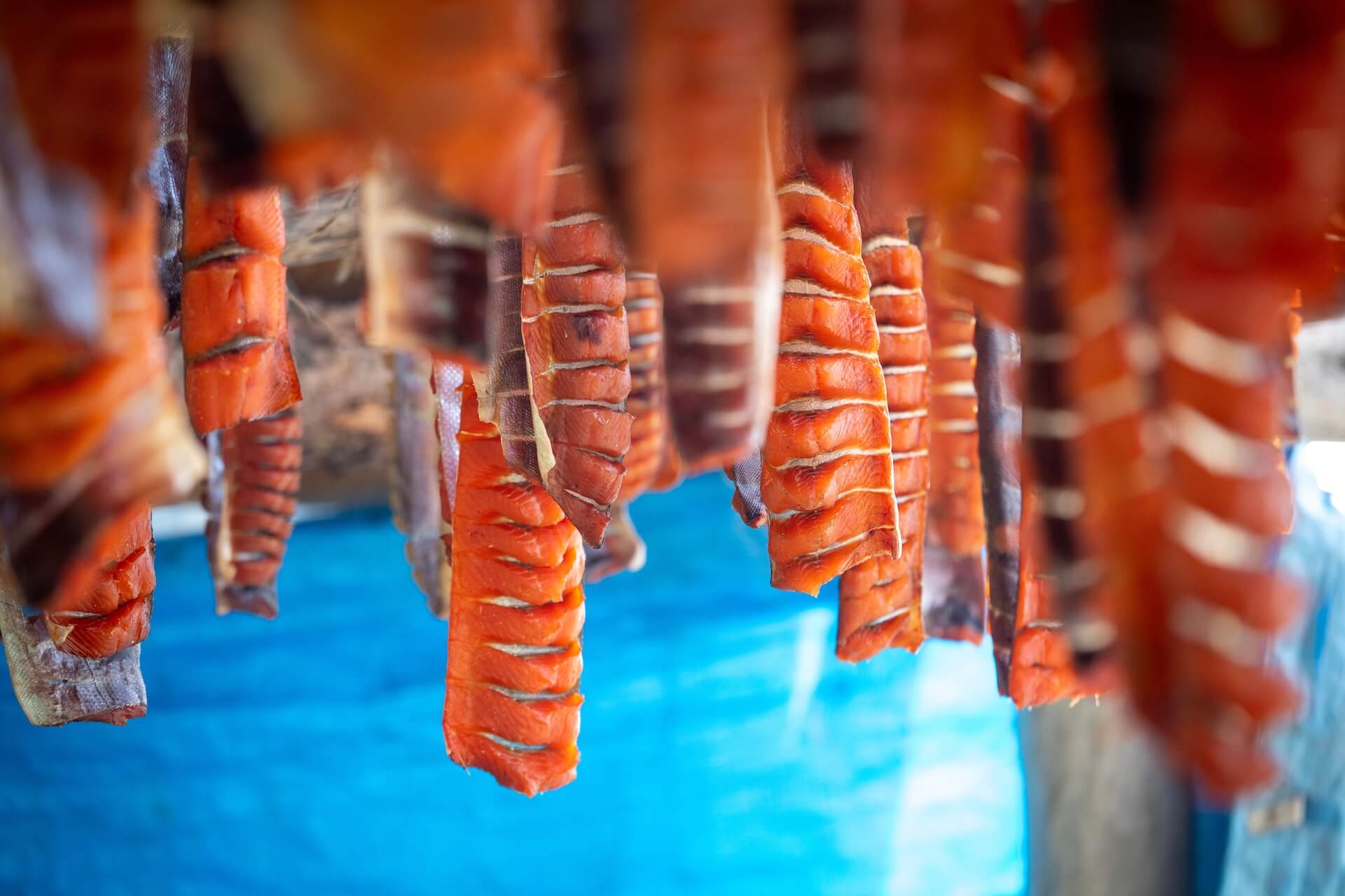 A Taste Of The North: From Ancestral Inuit Diet To Gourmet