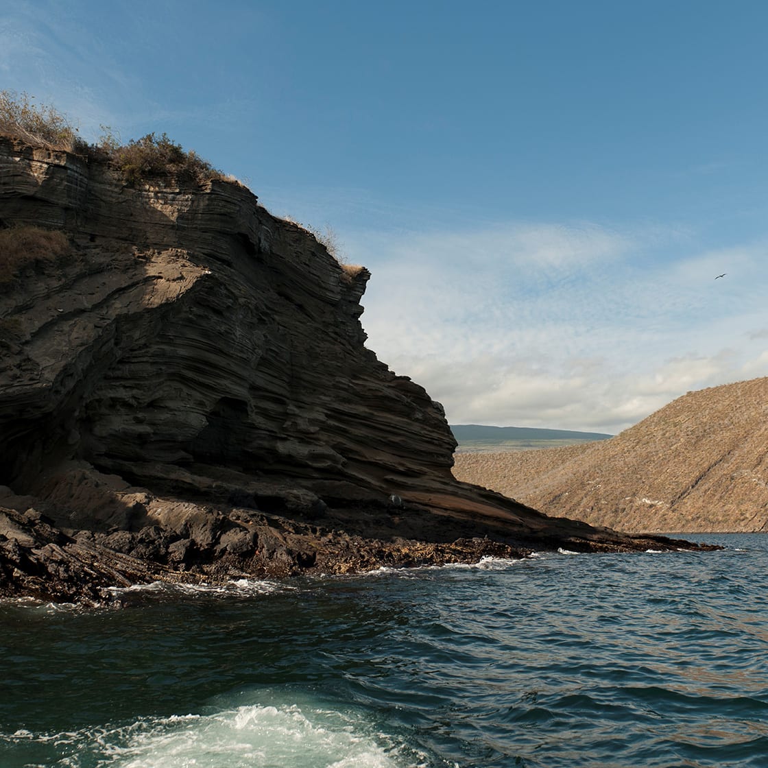 Tagus Cove, Isabela Island