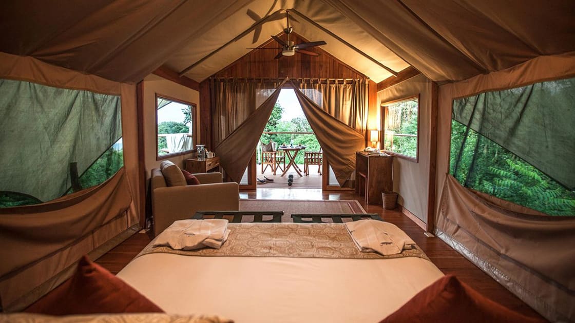 Room View At The Galapagos Safari Camp